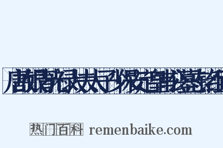 唐故银青光禄大夫太子少保安定皇甫公墓志铭组词是什么意思的图片